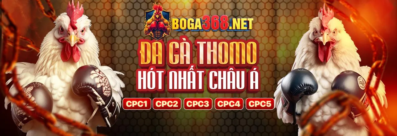Đá gà trực tuyến lp88